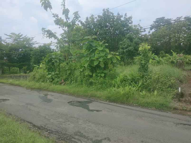 dijual tanah darat pinggir jalan raya sarwadadi