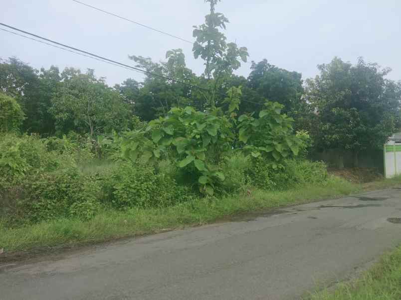 dijual tanah darat pinggir jalan raya sarwadadi