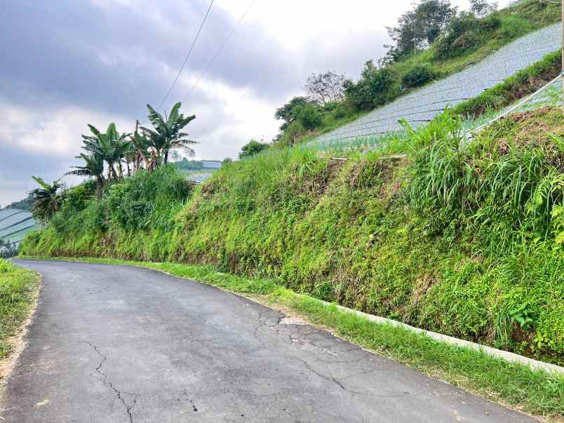 dijual tanah dekat candi cetho jenawi