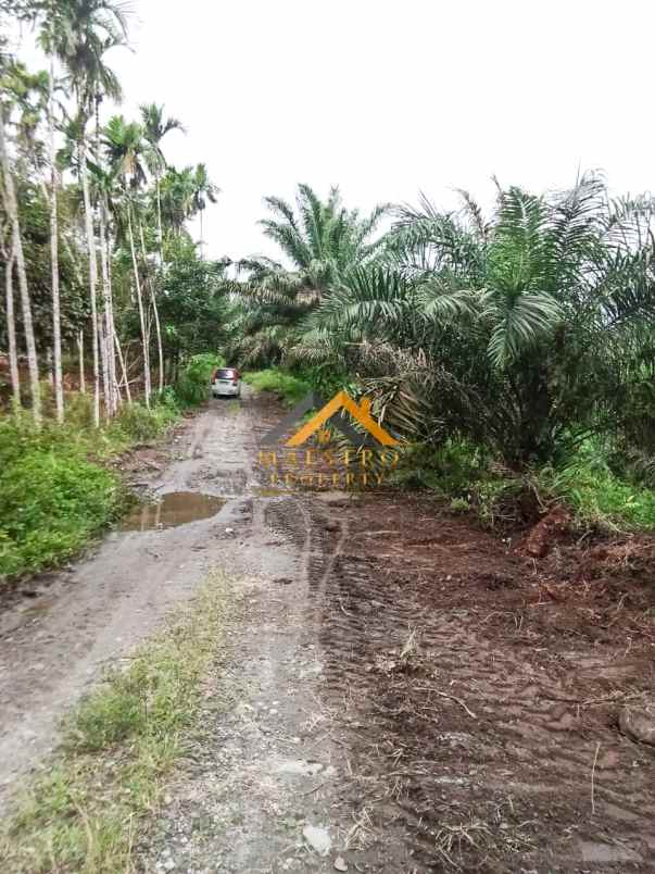 dijual tanah di desa ujung deleng kec sibolangit