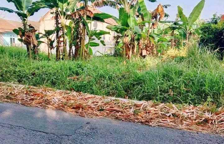 dijual tanah di pekuncen klipang tembalang semarang