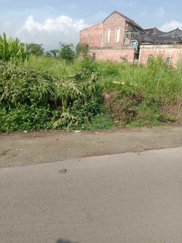 dijual tanah di pinggir jalan raya junrejo