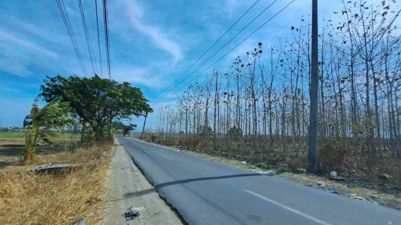 dijual tanah driyorejo