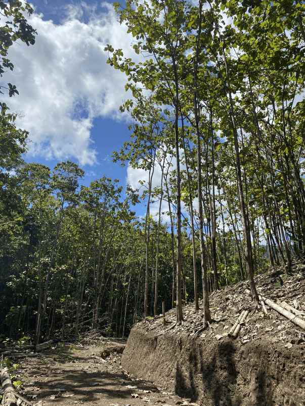 dijual tanah dusun tiu gali rt02 rw01