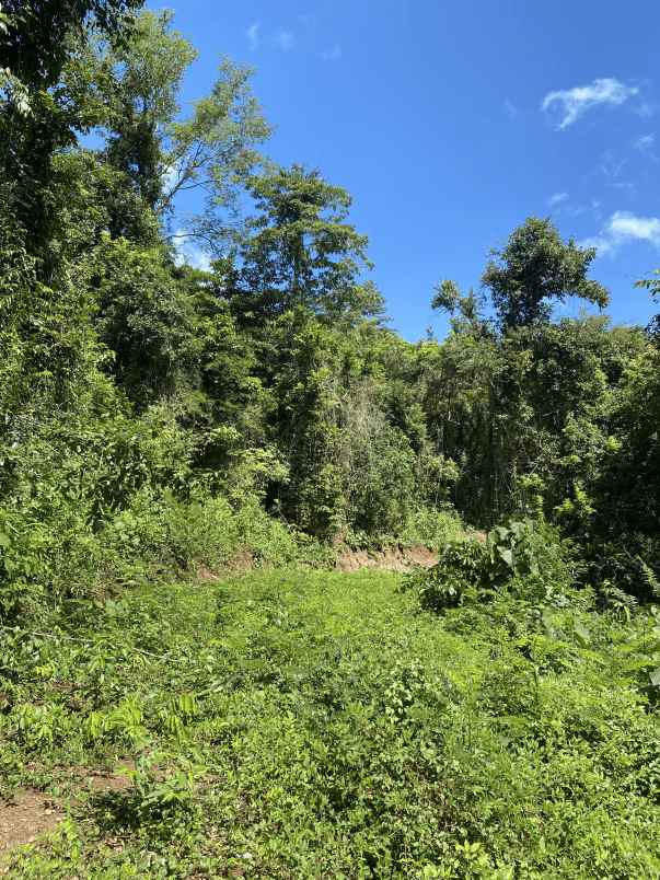 dijual tanah dusun tiu gali rt02 rw01