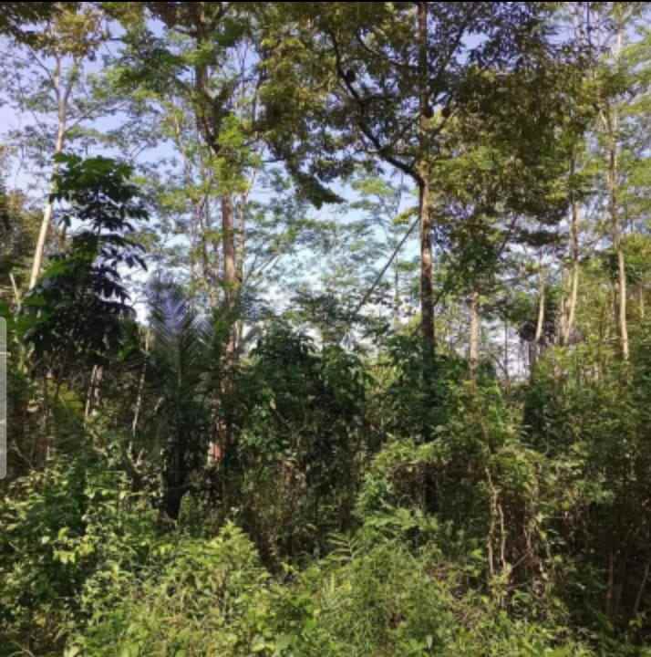 dijual tanah gunung pati