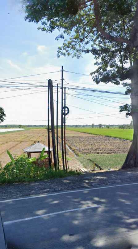 dijual tanah industri di probolinggo