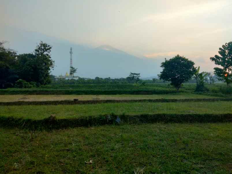 dijual tanah jalan baru lingkar timur