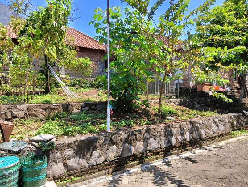 dijual tanah jalan cemara