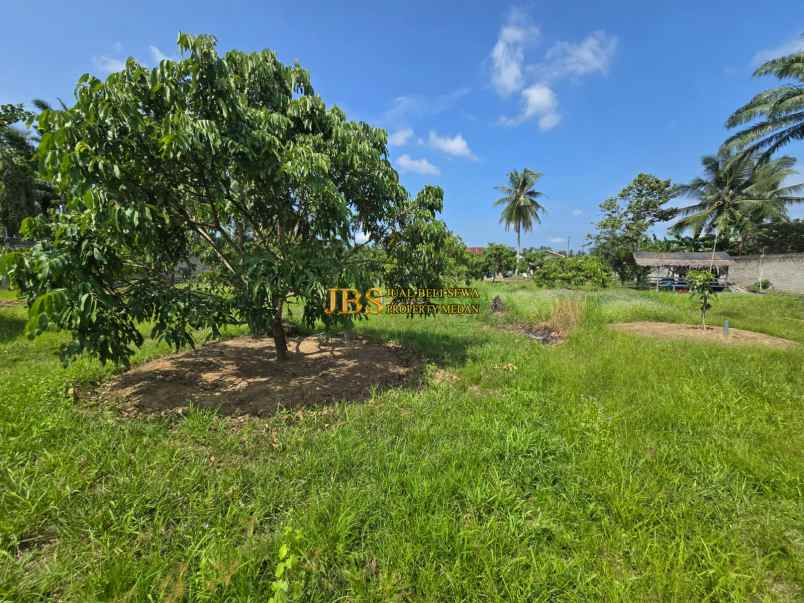 dijual tanah jalan lintas sumatera langkat
