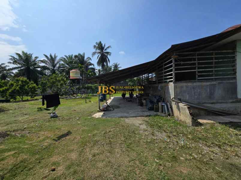 dijual tanah jalan lintas sumatera langkat