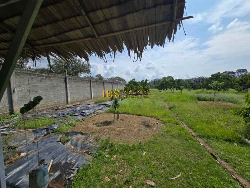 dijual tanah jalan lintas sumatera langkat