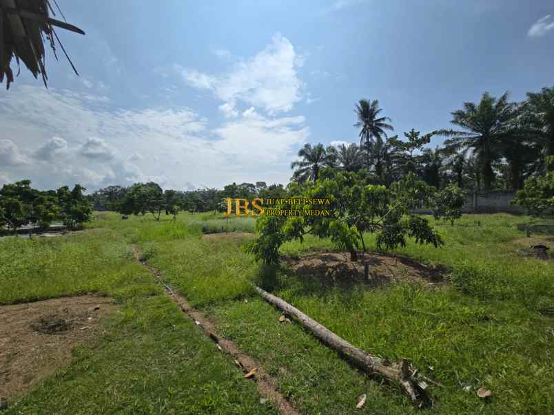 dijual tanah jalan lintas sumatera langkat