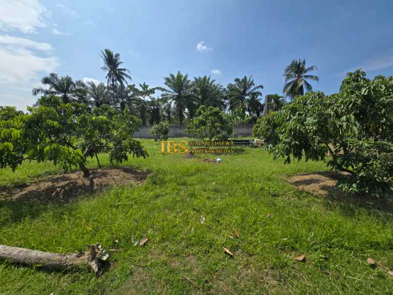 dijual tanah jalan lintas sumatera langkat
