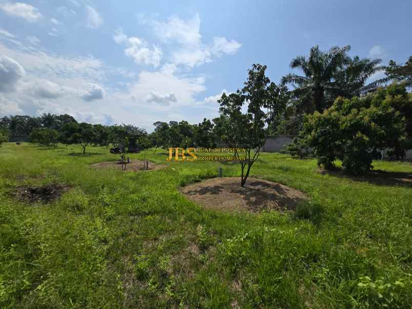 dijual tanah jalan lintas sumatera langkat