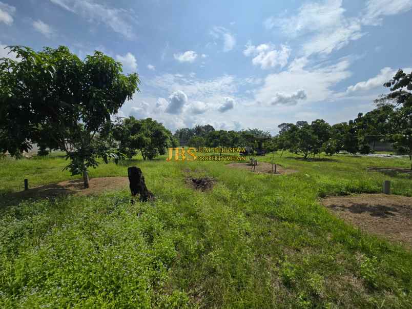 dijual tanah jalan lintas sumatera langkat