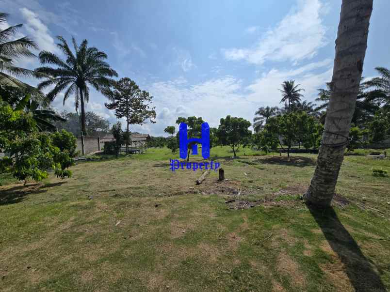 dijual tanah jalan lintas sumatera langkat