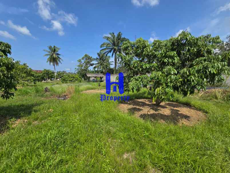dijual tanah jalan lintas sumatera langkat