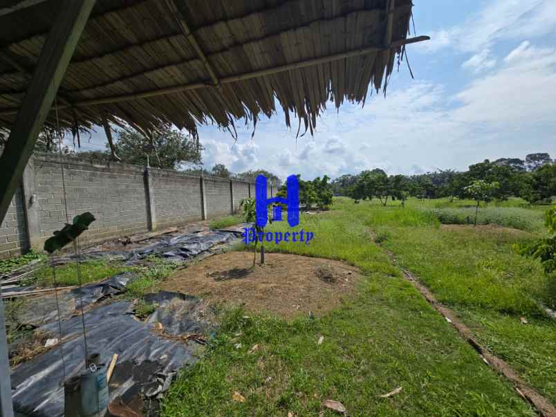 dijual tanah jalan lintas sumatera langkat