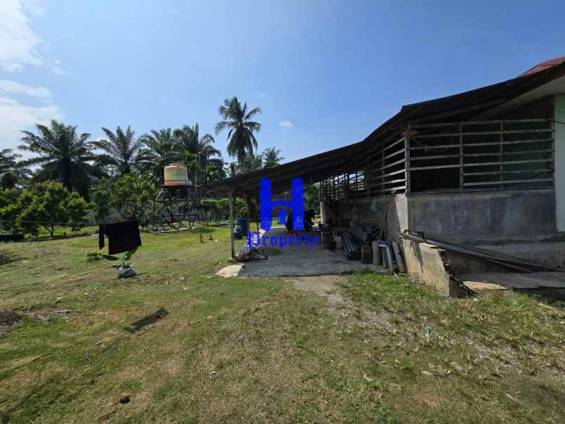 dijual tanah jalan lintas sumatera langkat