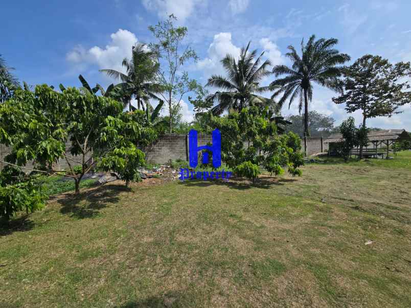 dijual tanah jalan lintas sumatera langkat