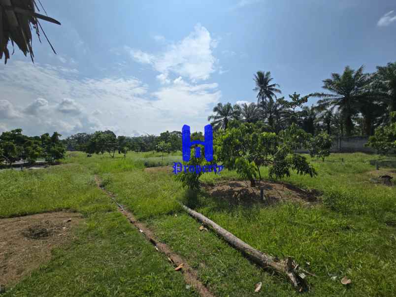 dijual tanah jalan lintas sumatera langkat
