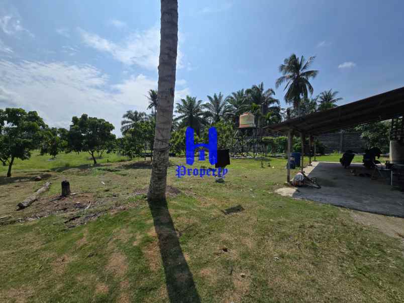 dijual tanah jalan lintas sumatera langkat