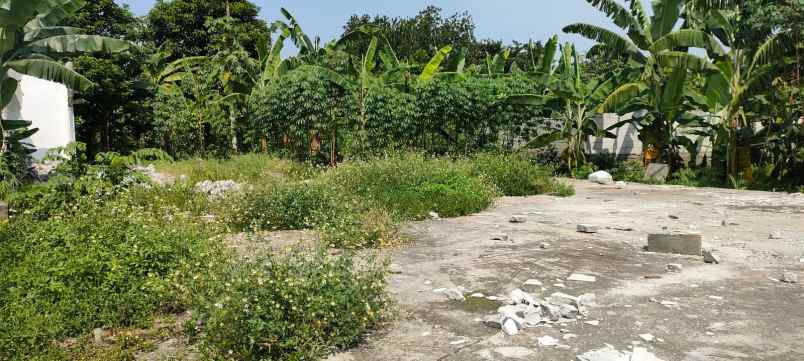 dijual tanah jalan raya cilodong