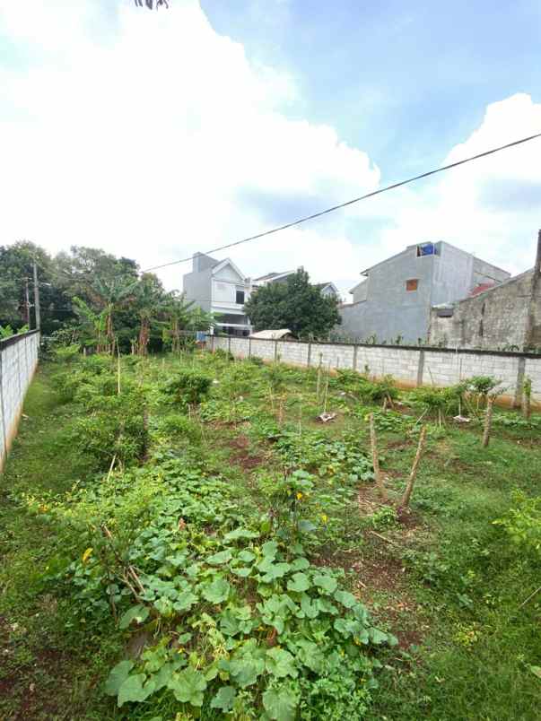 dijual tanah jalan raya tanah baru