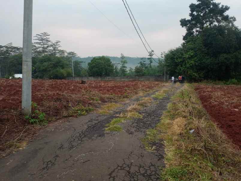 dijual tanah jalan sendang tulis