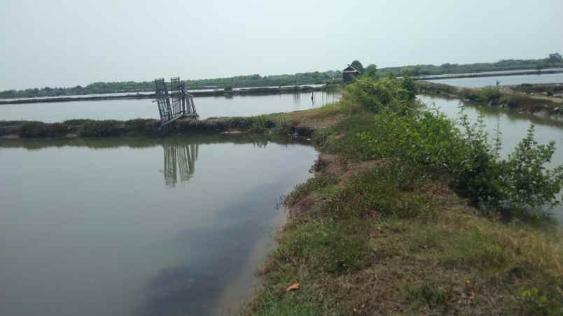 dijual tanah jalan tanggul tambak singajaya