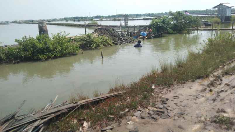 dijual tanah jalan tanggul tambak singajaya