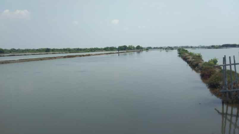 dijual tanah jalan tanggul tambak singajaya