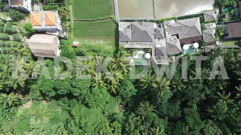 dijual tanah jalan tirta tawar ubud