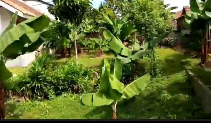 dijual tanah jl kayumanis kecamatan