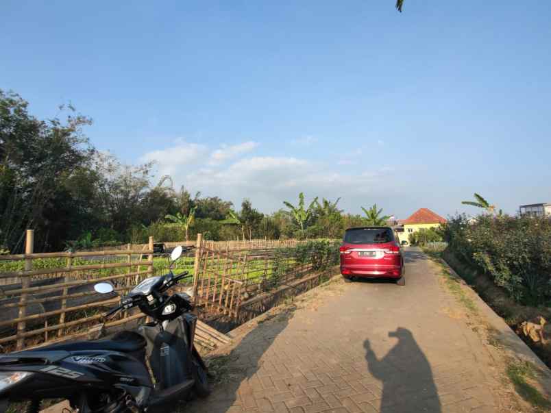 dijual tanah jl pandanrejo