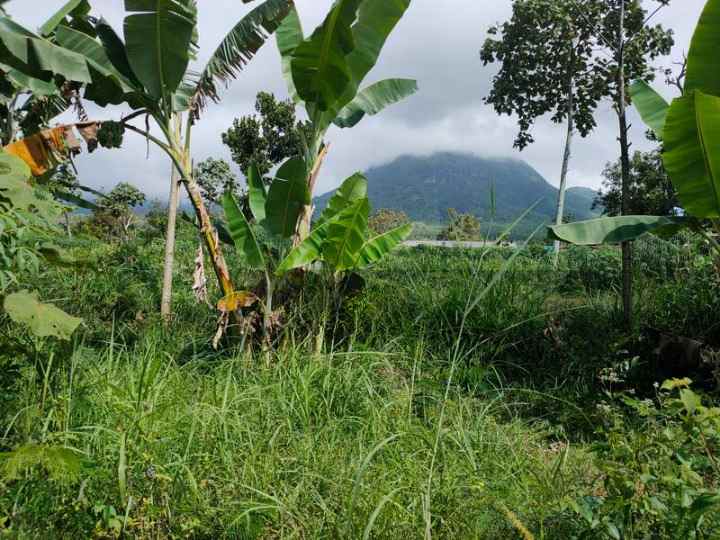 dijual tanah jl semangka panderman hill