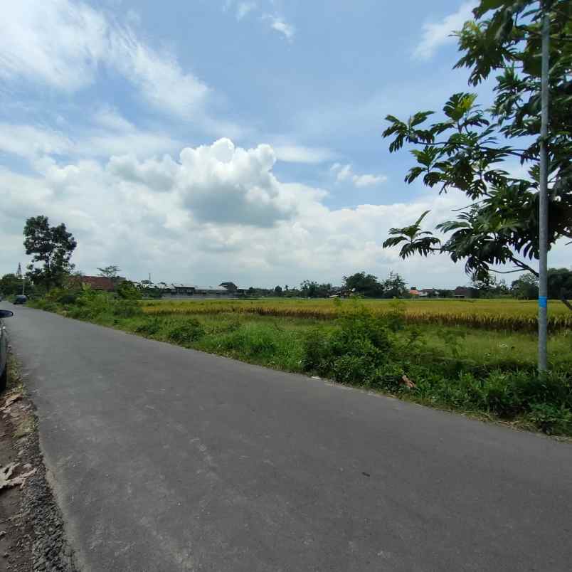 dijual tanah jl simping area sawah