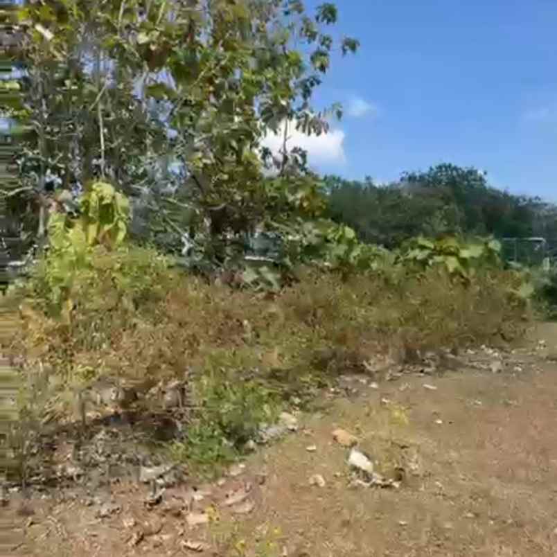 dijual tanah jln pantai balangan
