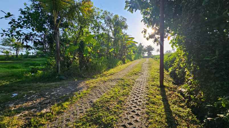 dijual tanah jln pantai nyanyi