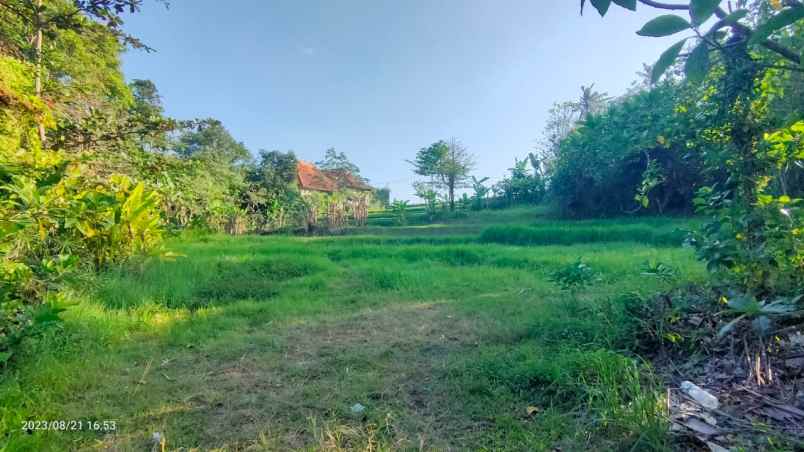 dijual tanah jln pantai nyanyi