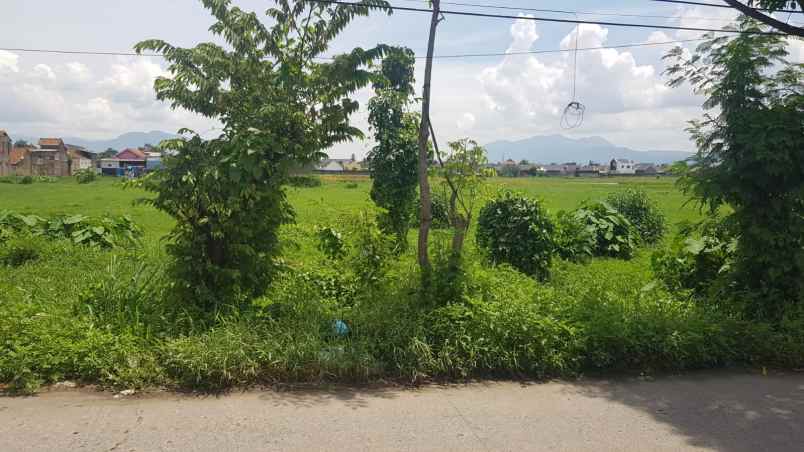 dijual tanah jln walini bojongloa