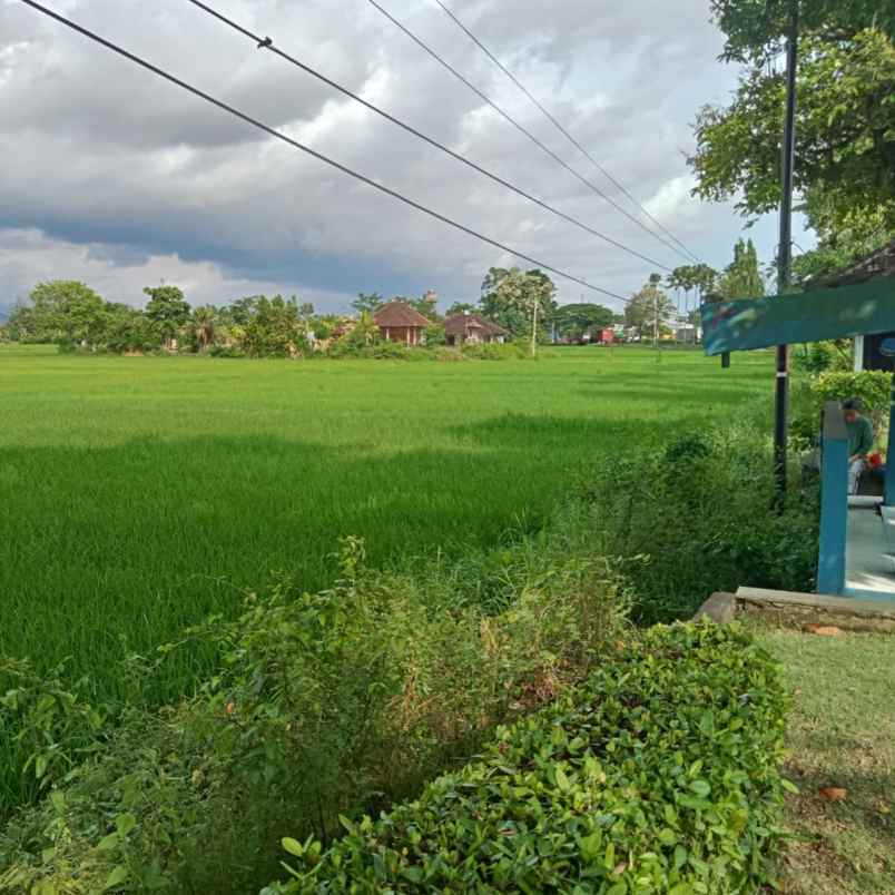 dijual tanah kaliakah