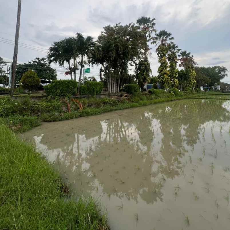 dijual tanah kaliakah