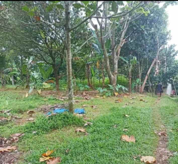 dijual tanah kalisuren tajur halang bogor