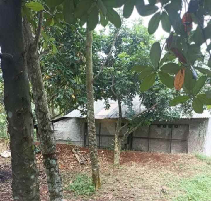 dijual tanah kalisuren tajur halang bogor