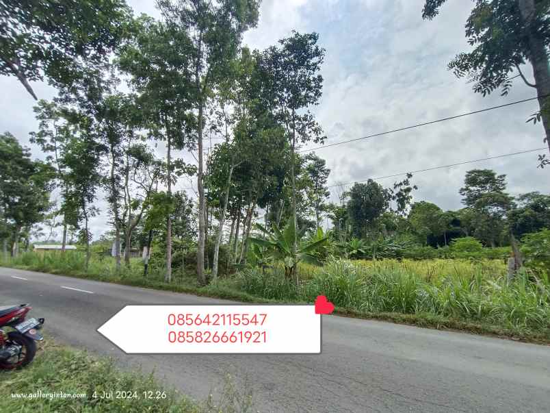 dijual tanah kenteng penggung boyolali