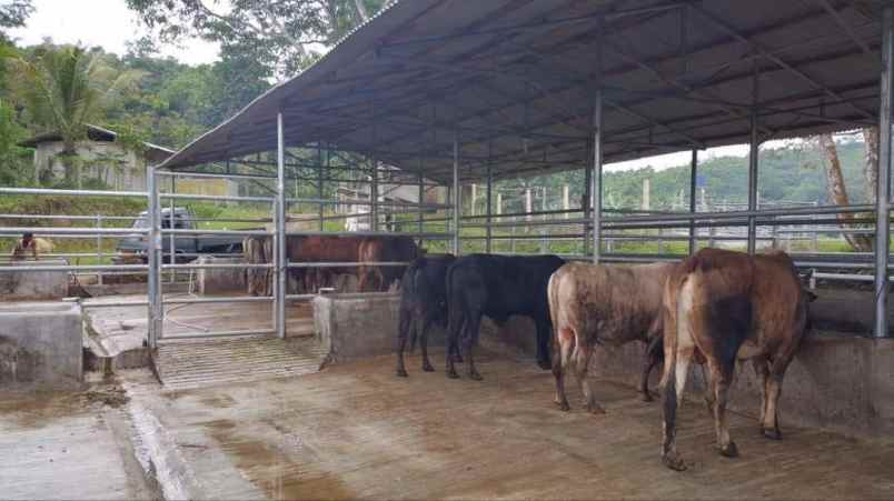 dijual tanah leuwi batu