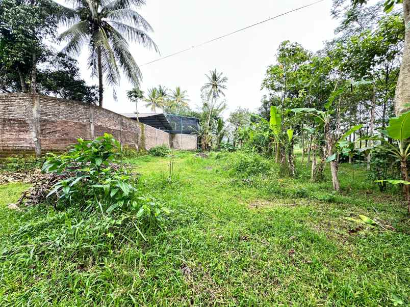 dijual tanah luas di pinggir jalan utama