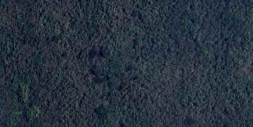 dijual tanah mayjend sungkono